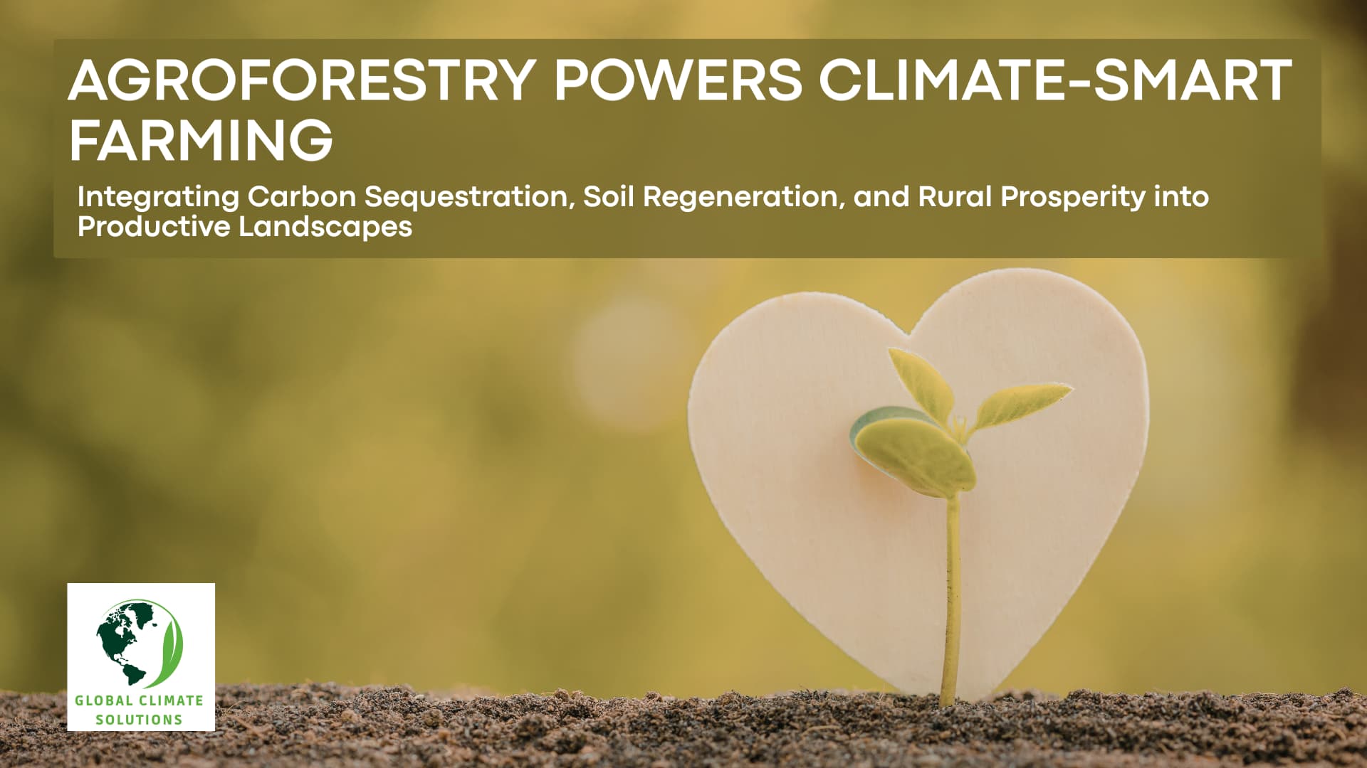 Agroforestry and Climate Resilience: Integrating Trees into Sustainable Agriculture