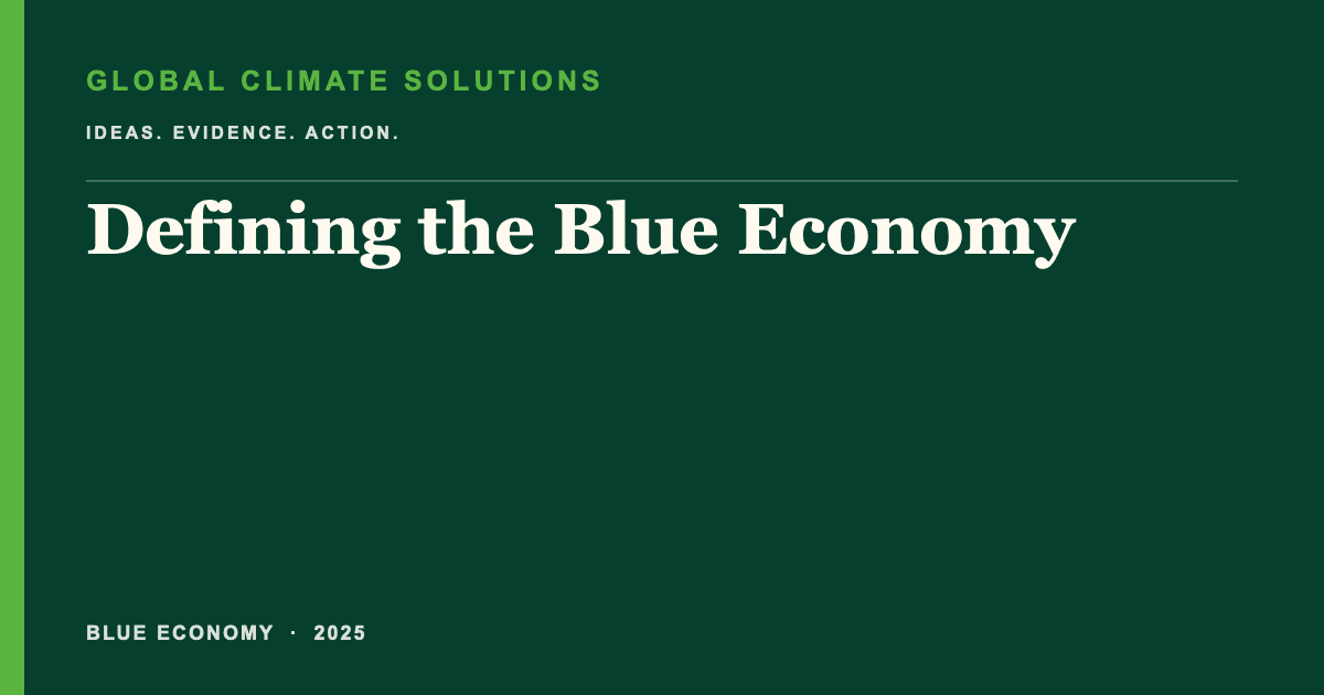 Editorial title card for Defining the Blue Economy