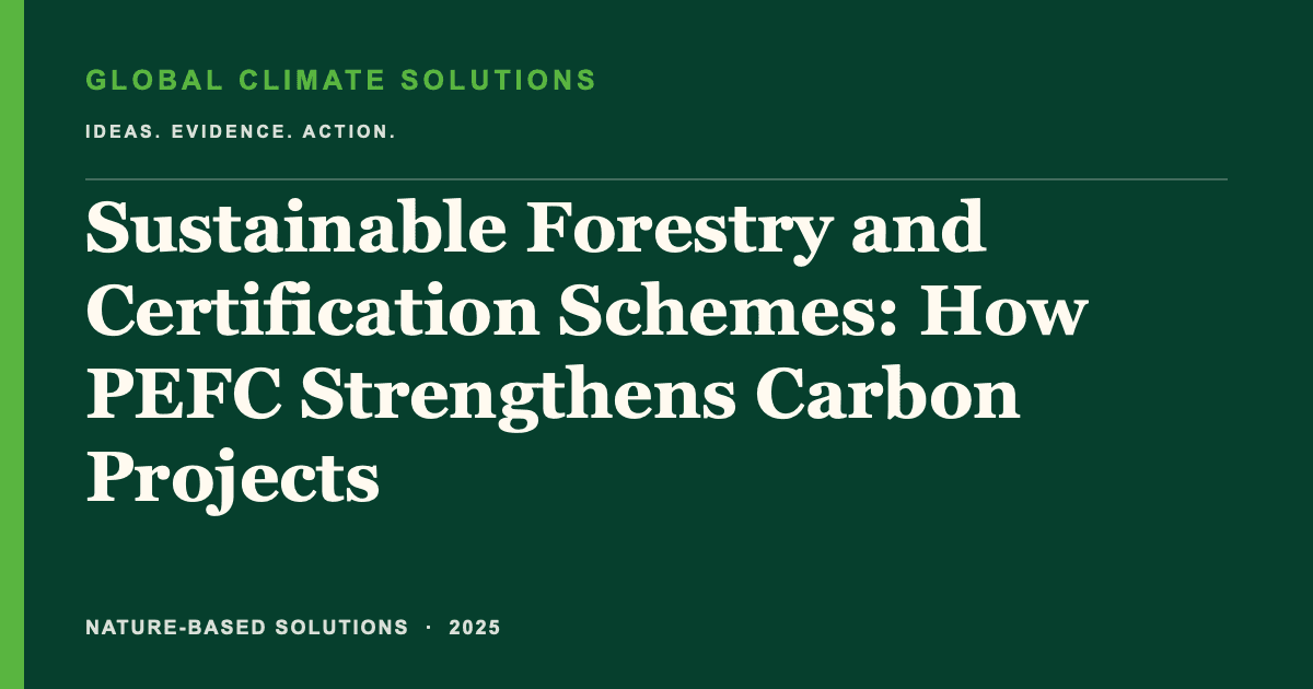 Editorial title card for Sustainable Forestry and Certification Schemes: How PEFC Strengthens Carbon Projects