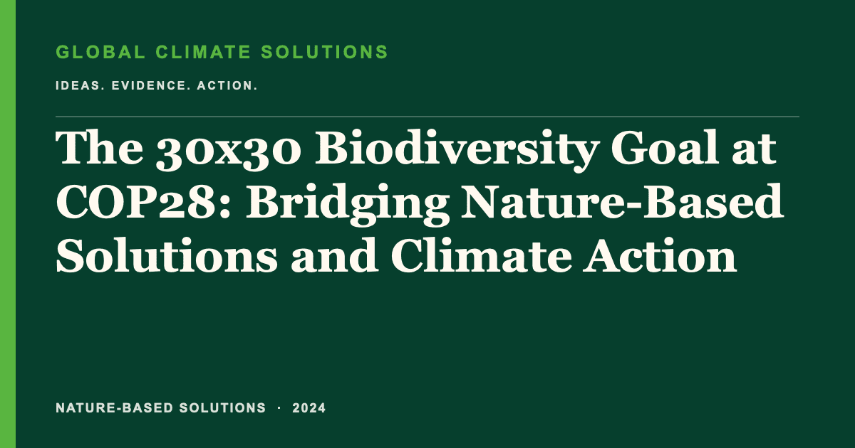 Editorial title card for The 30x30 Biodiversity Goal at COP28: Bridging Nature-Based Solutions and Climate Action