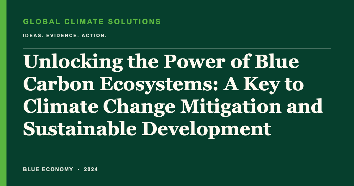 Editorial title card for Unlocking the Power of Blue Carbon Ecosystems: A Key to Climate Change Mitigation and Sustainable Development