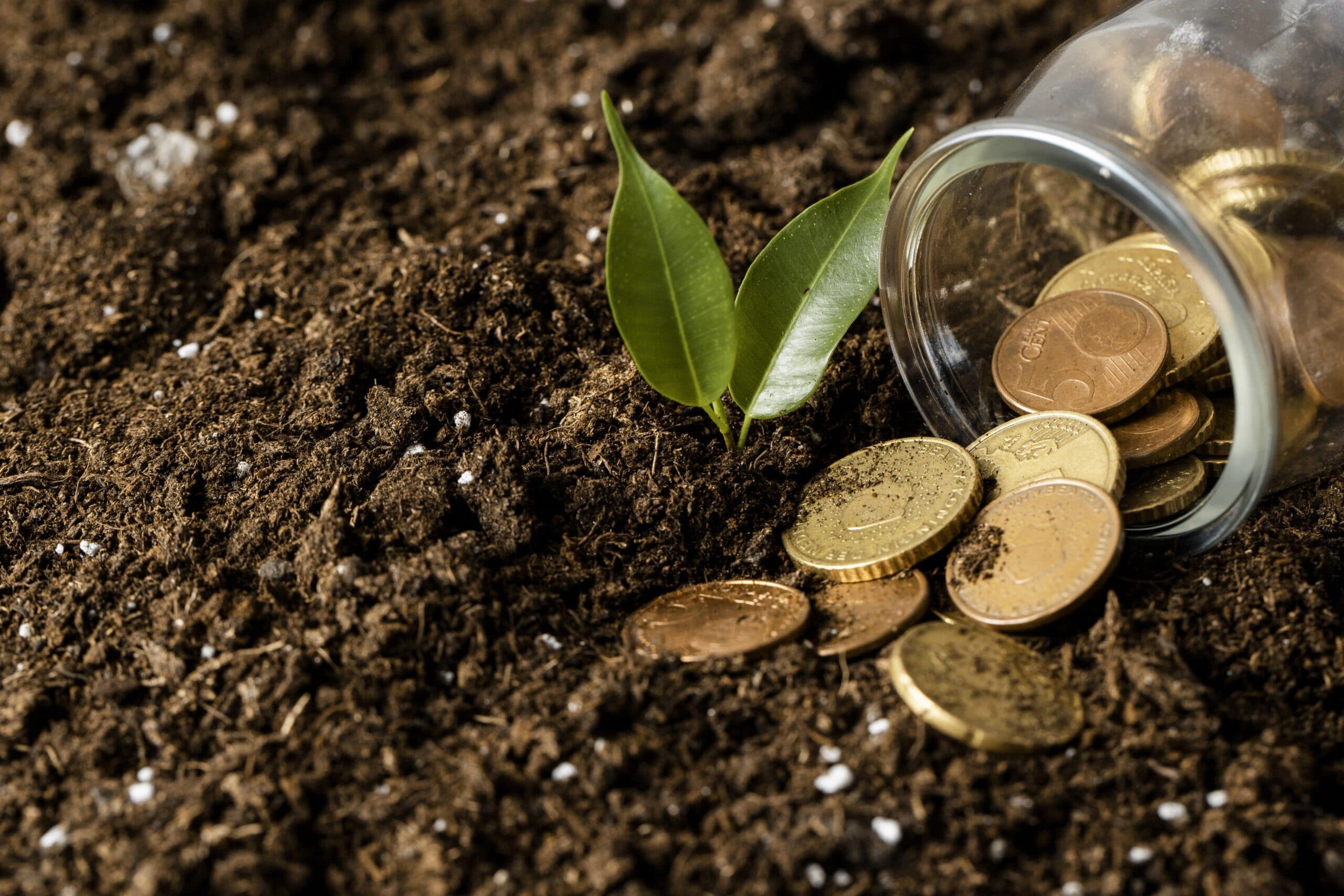 Blended Finance for Climate Action: Mobilizing Capital for Mitigation and Resilience