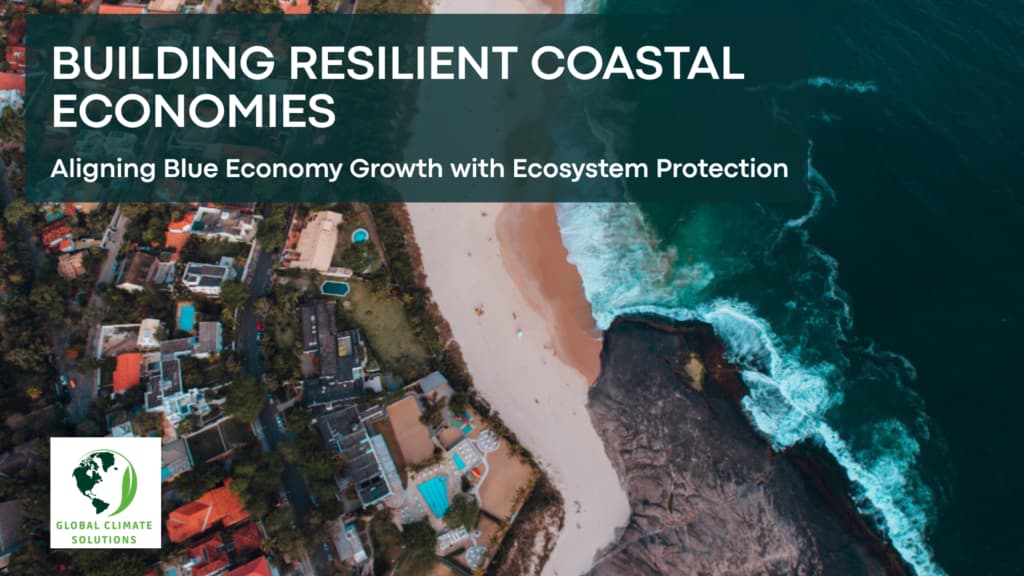 Blue Economy Strategies for Resilient Coastal Cities: Ecosystem Protection and Sustainable Growth