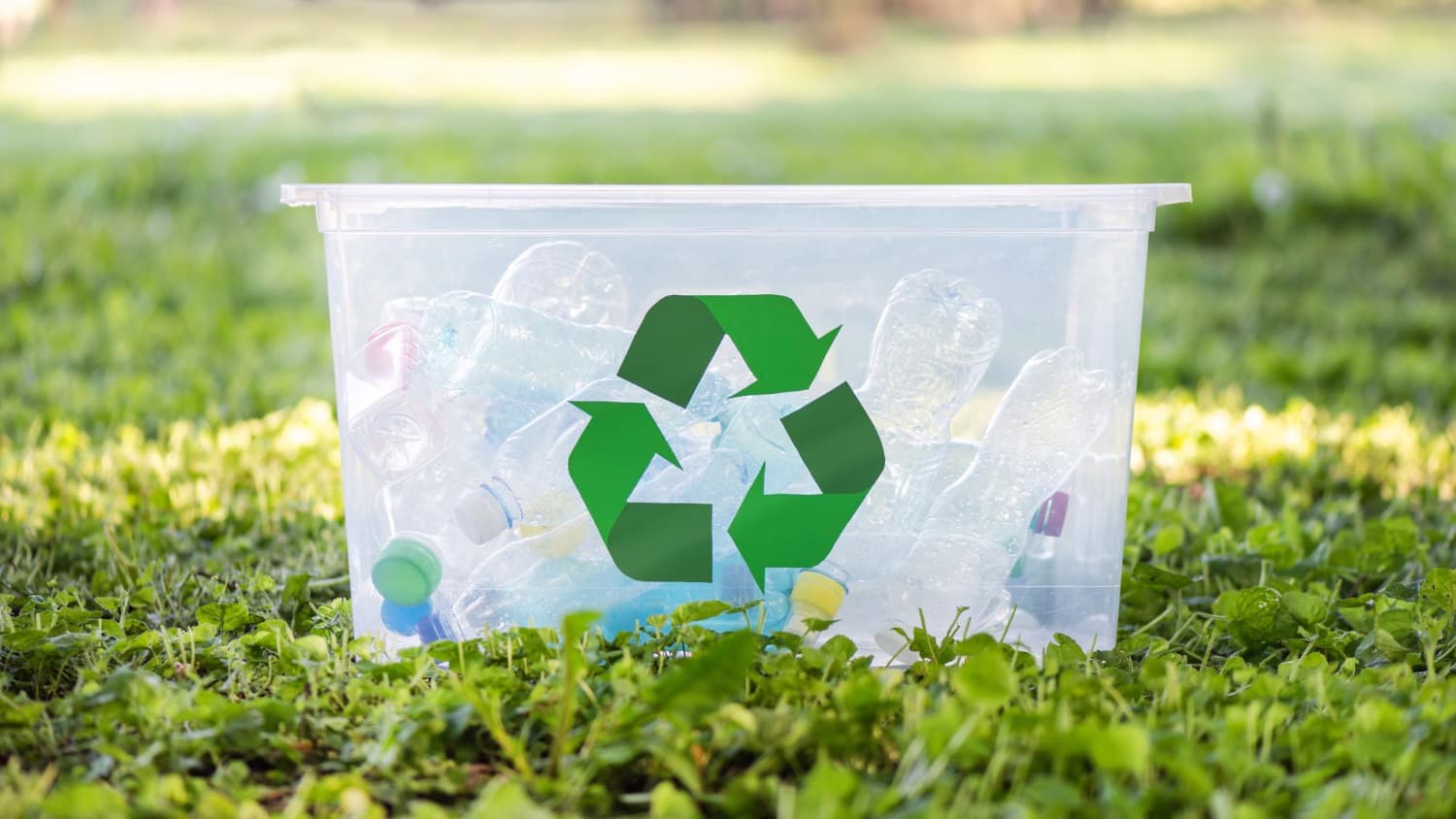 How Canada’s Circular Plastics Economy Initiative Supports Reuse and Waste Reduction
