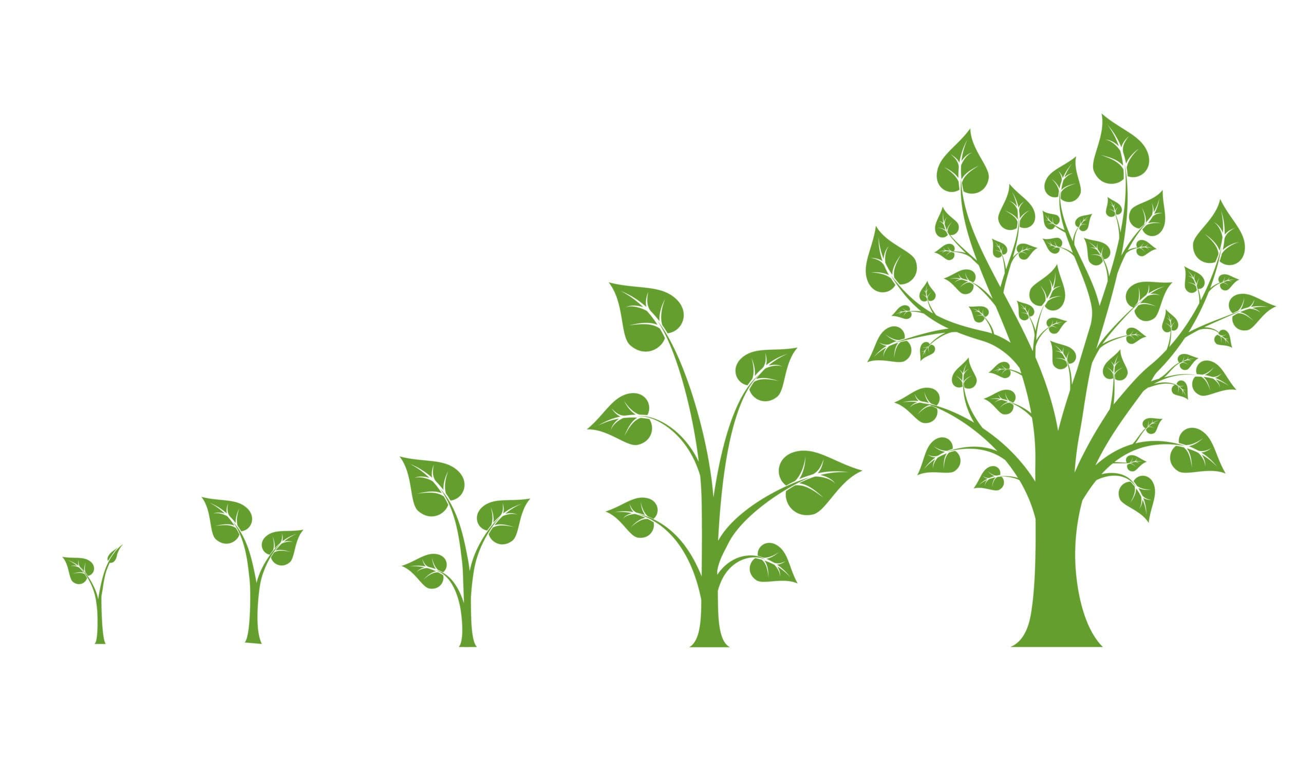Restoring Landscapes Through Carbon Finance Mechanisms