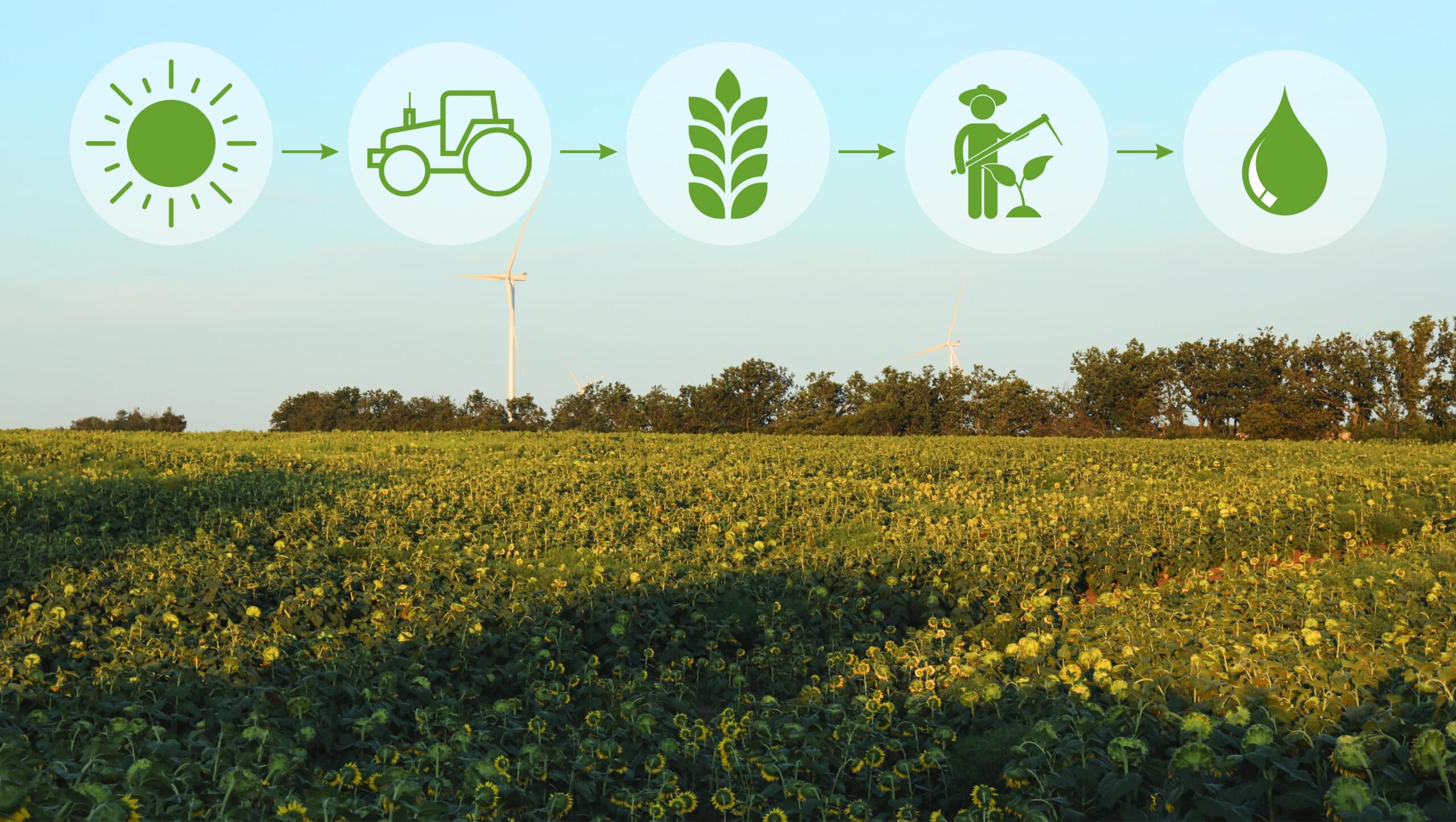 Climate-Smart Agriculture Policy Integration: Australia’s National Governance Model