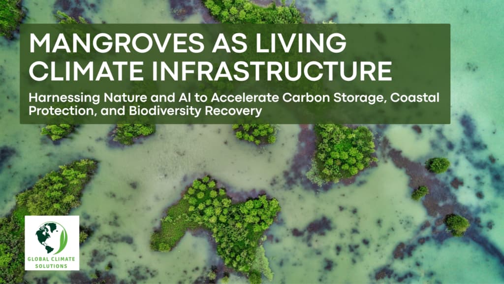 Mangroves as Living Climate Infrastructure