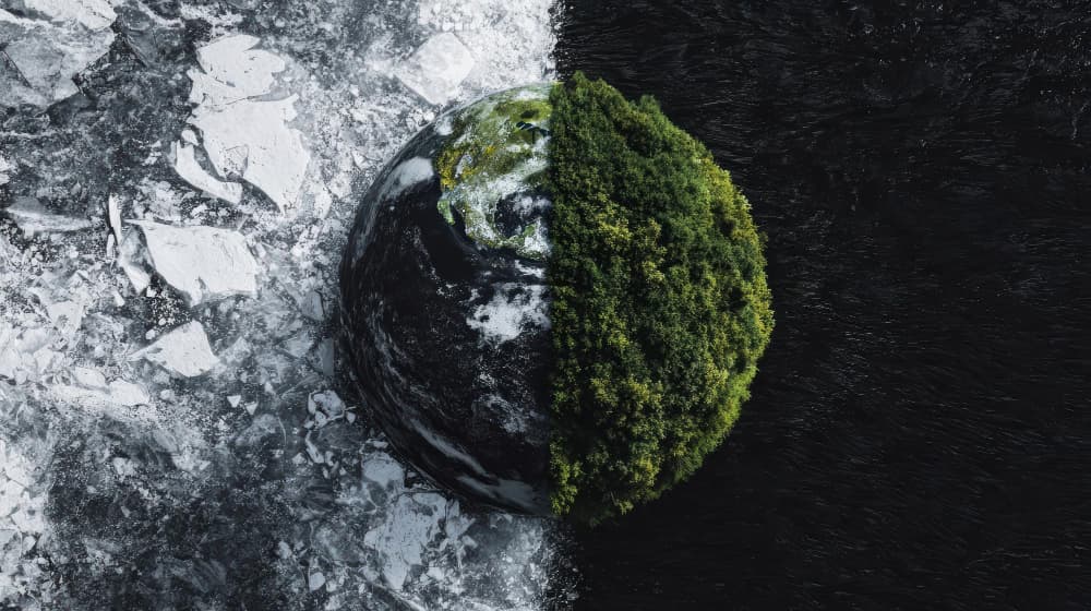 Peatland Restoration and Climate Policy: How England’s NCPGS Drives Carbon Sequestration