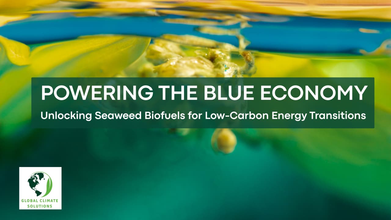 Powering the Blue Economy: Seaweed Biofuels for Low-Carbon Energy