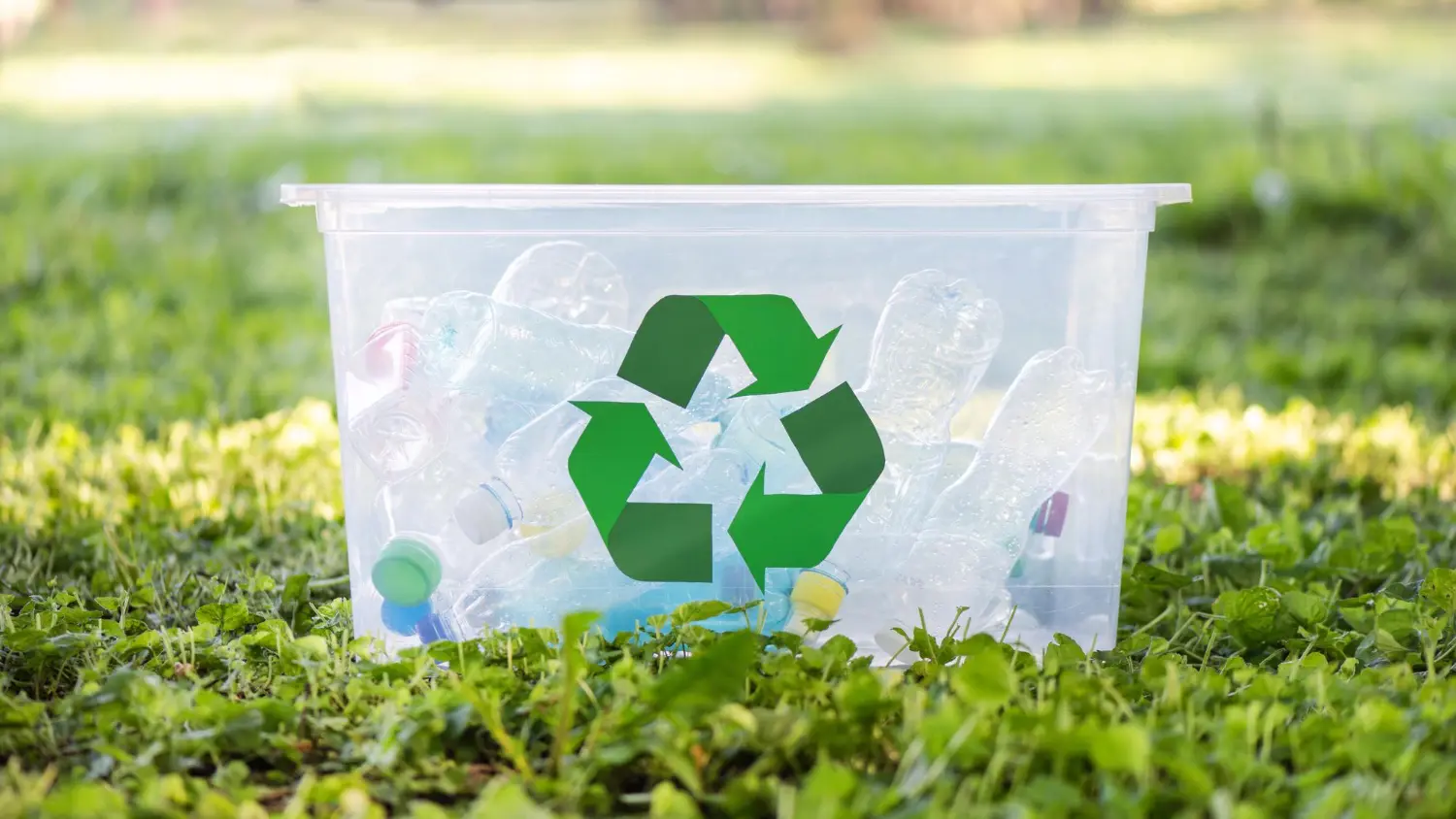 Collected plastic bottles ready to re-enter productive use