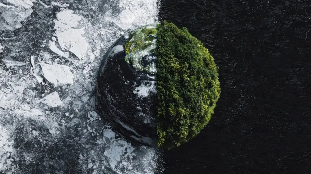 A divided landscape illustrating carbon loss and ecological restoration