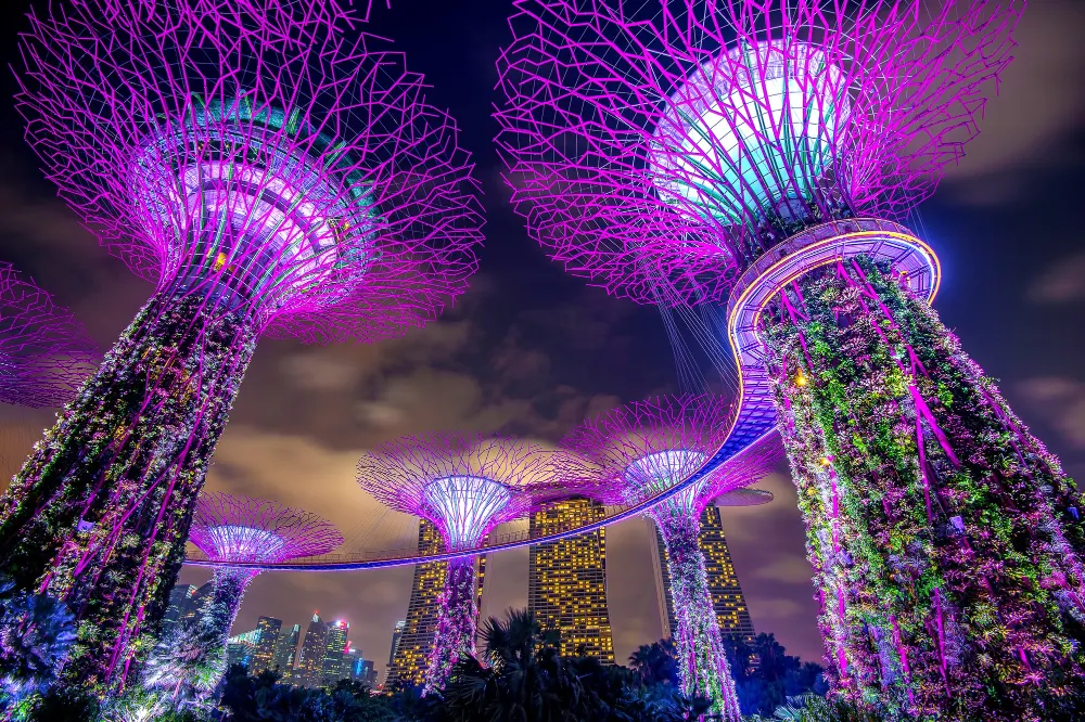 Singapore’s Supertree Grove at Gardens by the Bay, symbolizing smart city innovation and sustainable urban design.