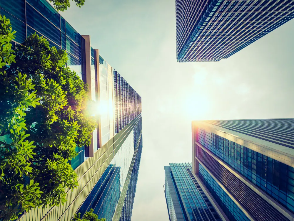 Modern city buildings with sunlight and greenery, symbolizing urban climate resilience and sustainable city planning.