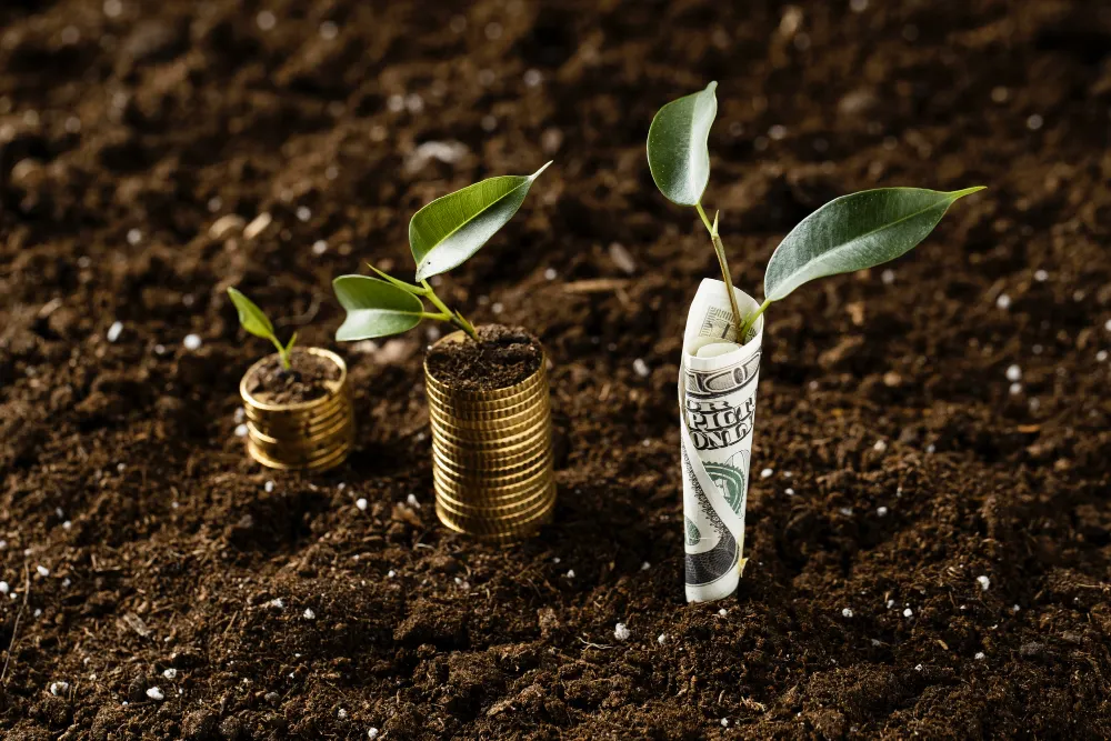 Stacks of coins and a rolled US dollar bill with green plants growing from them, symbolizing sustainable finance and environmental investment.