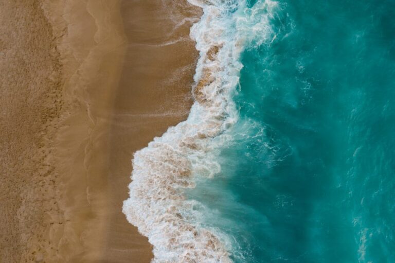 Aerial view of coastal shoreline showing ocean waves meeting sandy beach, symbolizing blue carbon ecosystems and coastal climate mitigation.