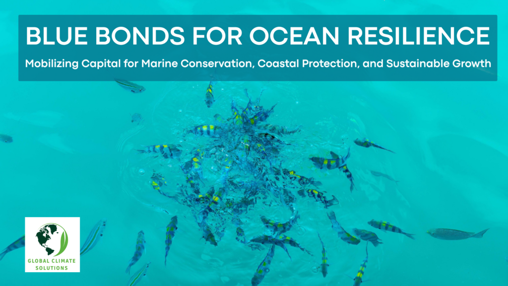 Tropical fish swimming in clear blue ocean water, illustrating marine ecosystems linked to blue bonds, ocean conservation, and coastal resilience finance.