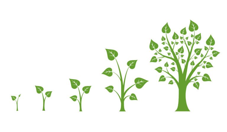Illustration of tree growth stages representing land restoration and carbon sequestration through carbon finance mechanisms