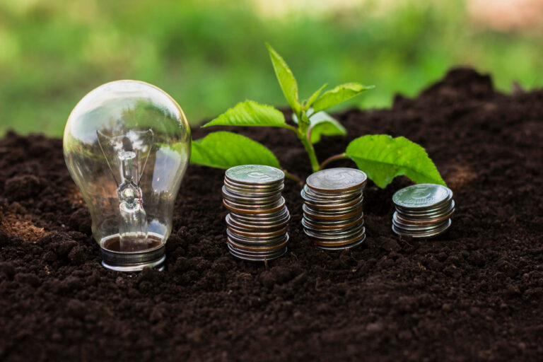 Sustainable finance and carbon market infrastructure supporting climate finance through Singapore’s Carbon Markets Programme.